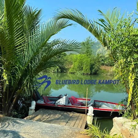 Bluebird Lodge Kampot Esterno foto