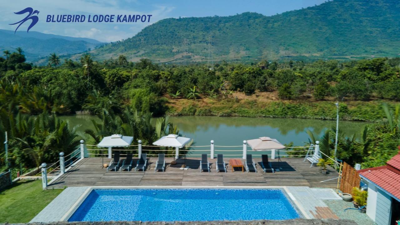 Bluebird Lodge Kampot Esterno foto