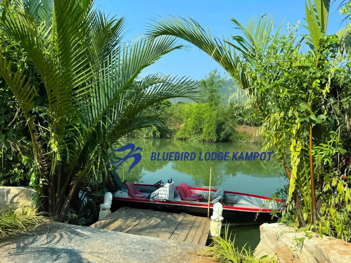 Bluebird Lodge Kampot Esterno foto