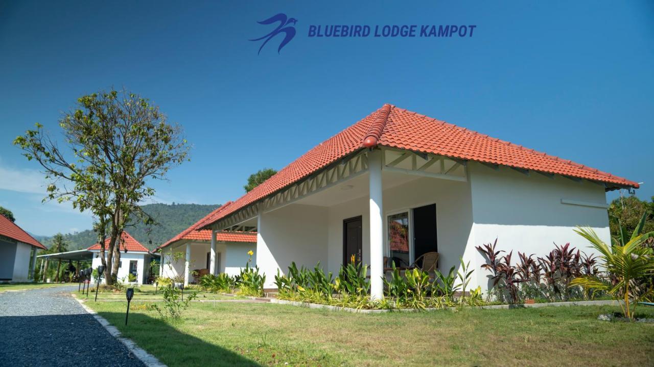 Bluebird Lodge Kampot Esterno foto