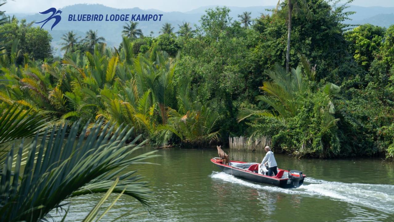 Bluebird Lodge Kampot Esterno foto