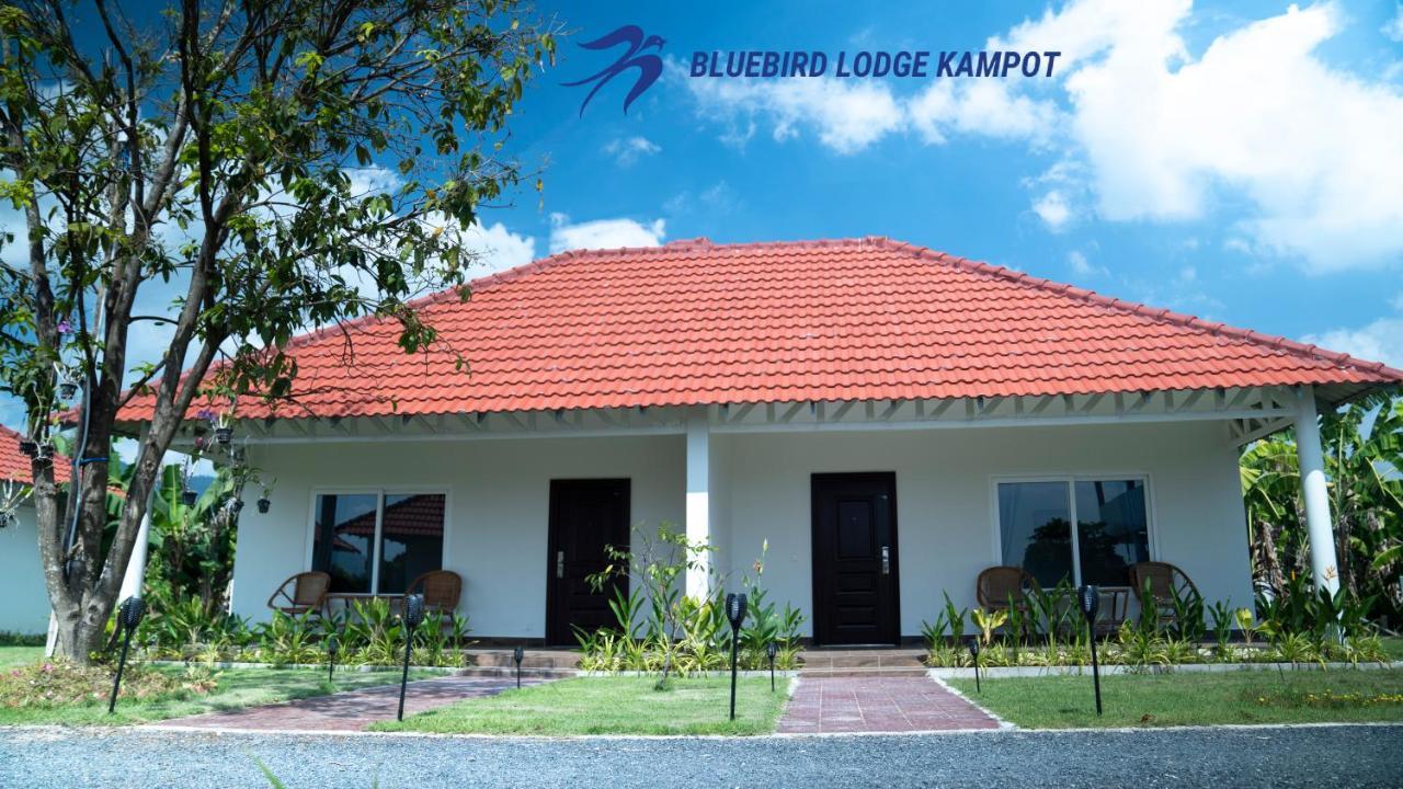 Bluebird Lodge Kampot Esterno foto